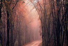 广州富力凭借一球险胜沈阳宏运