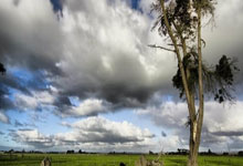 球队表现出色，豪夺重要胜利