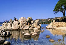 瓜子队敢战雄鹿：豪取连胜信心十足